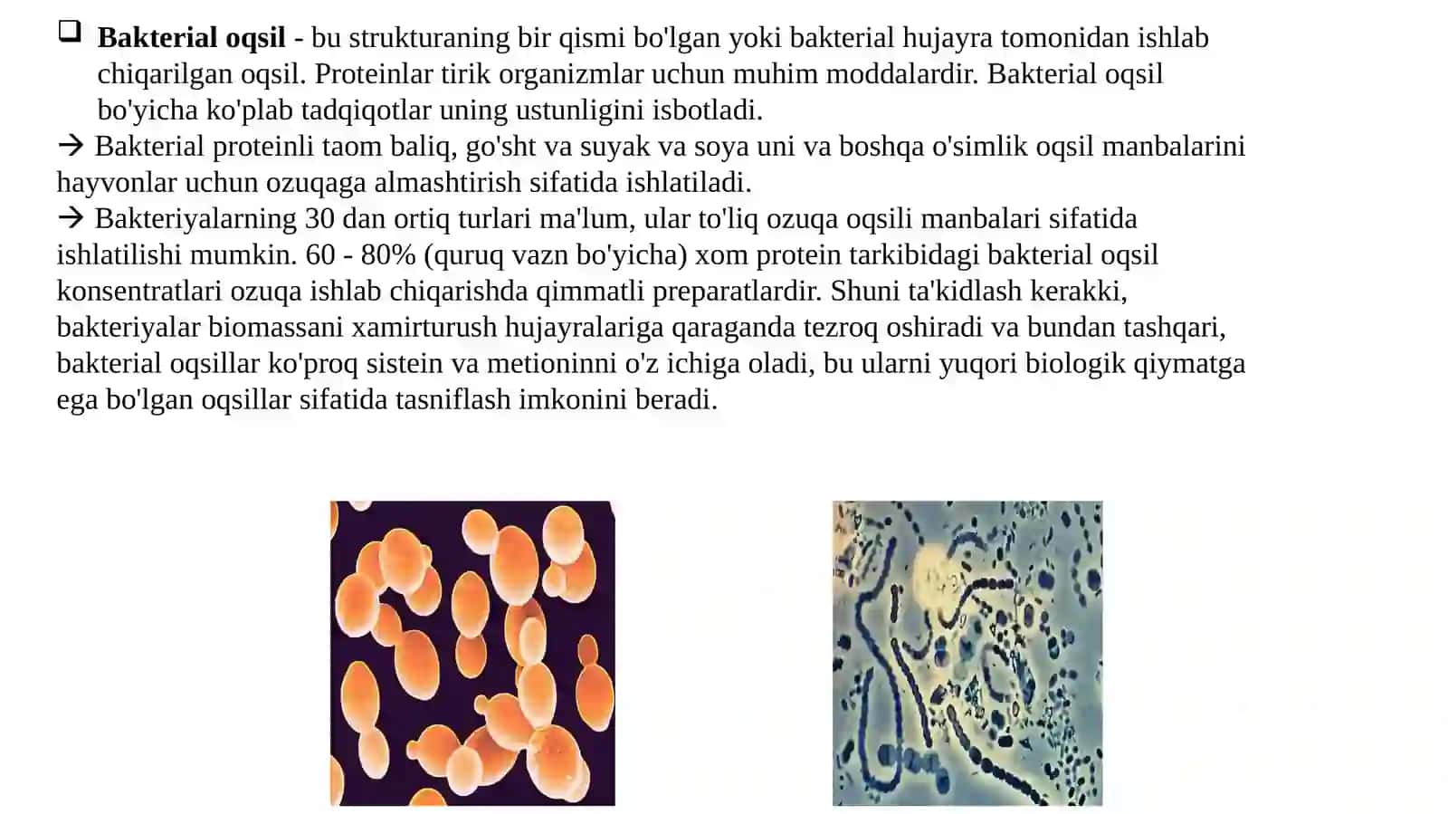 Mikrob oqsilini biotexnologik ishlab chiqarish 4