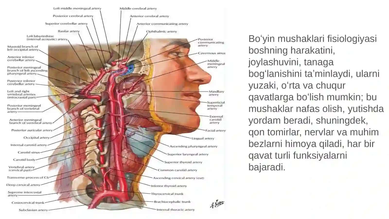 Tarmoqli Tibbiyot Texnikumi 4