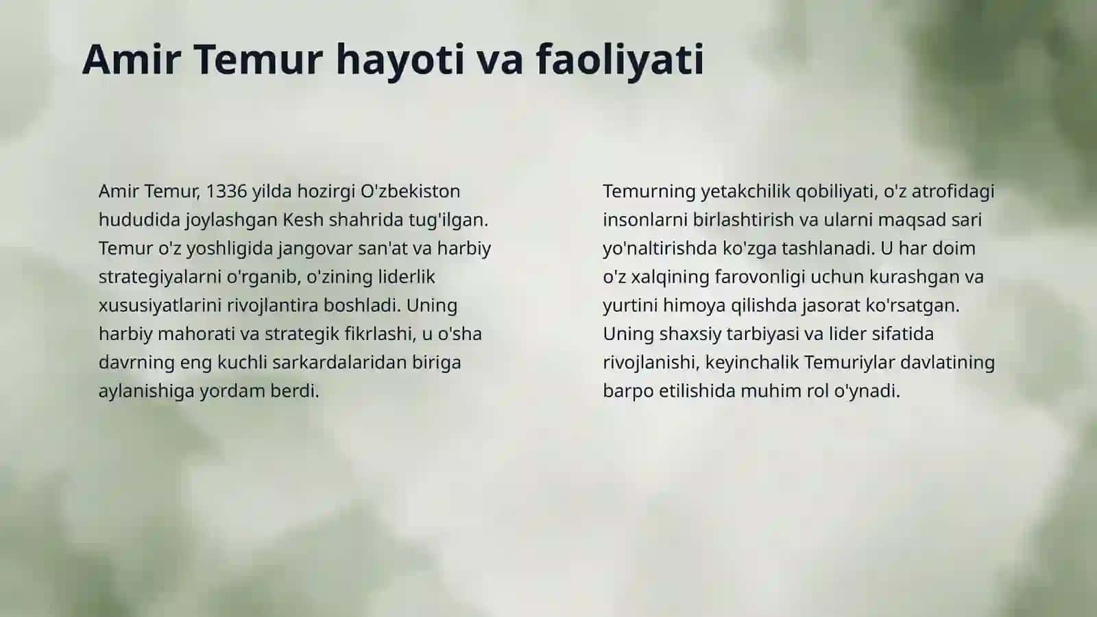 Amir Temur 4