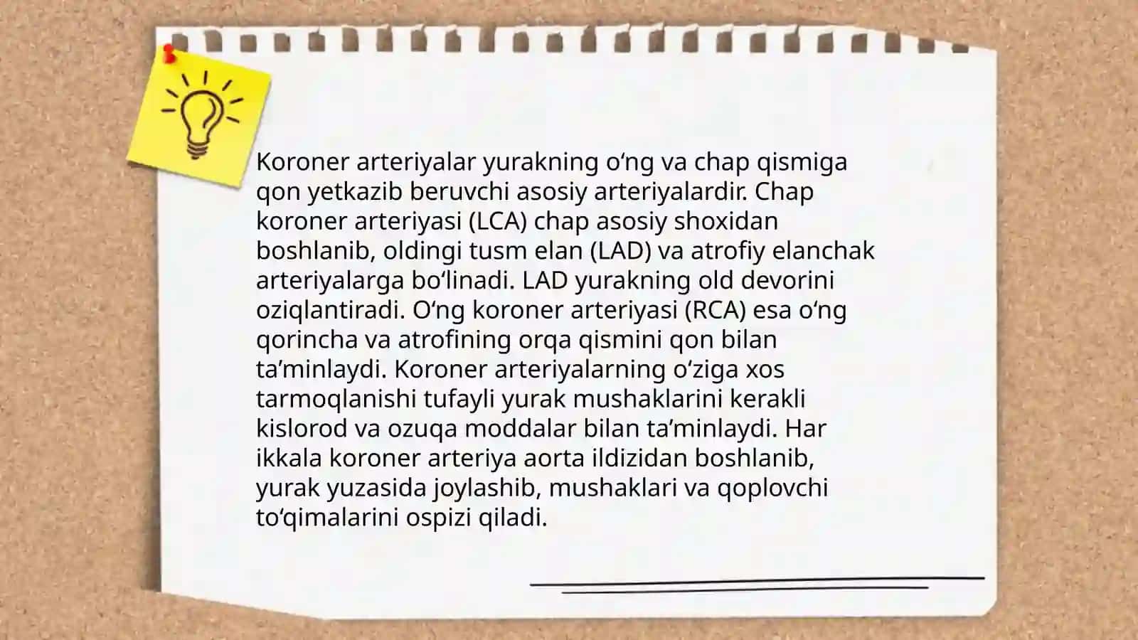 Yurak va qon tomirlar rentgenanatomiyasi 4