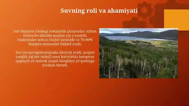 Arganizimning suv-dispers sistemasi 4