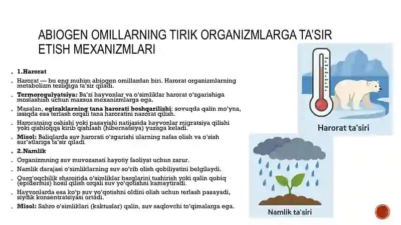 taqdimot 4