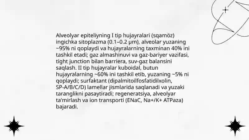 Havo-qon to'sig'ining tuzilishi, vazifalari va patologiyasi 4