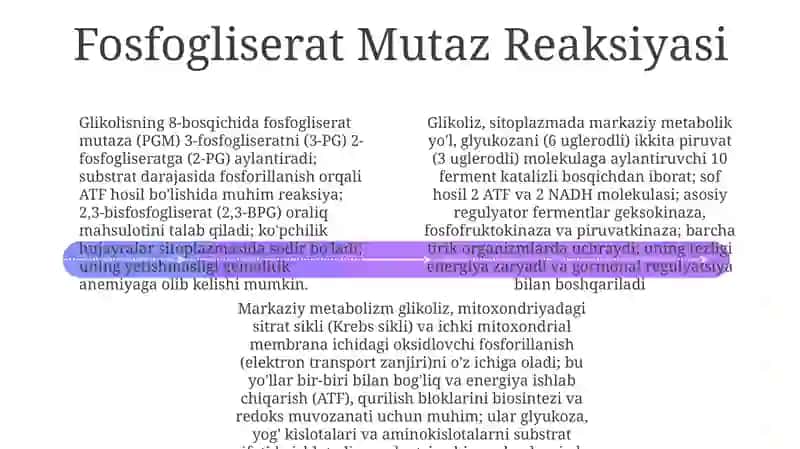Glikolis: Umumiy ma'lumot 4
