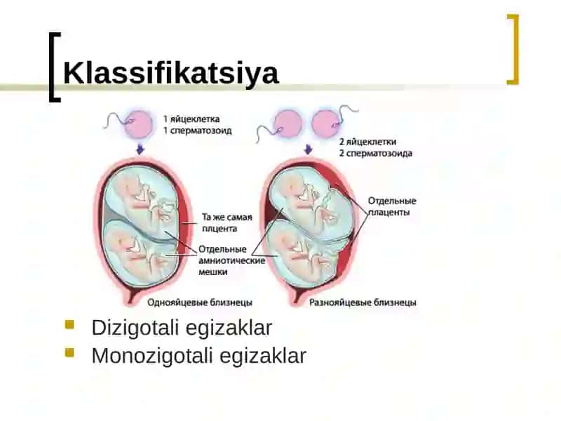 Ko'p homiladorlik 4