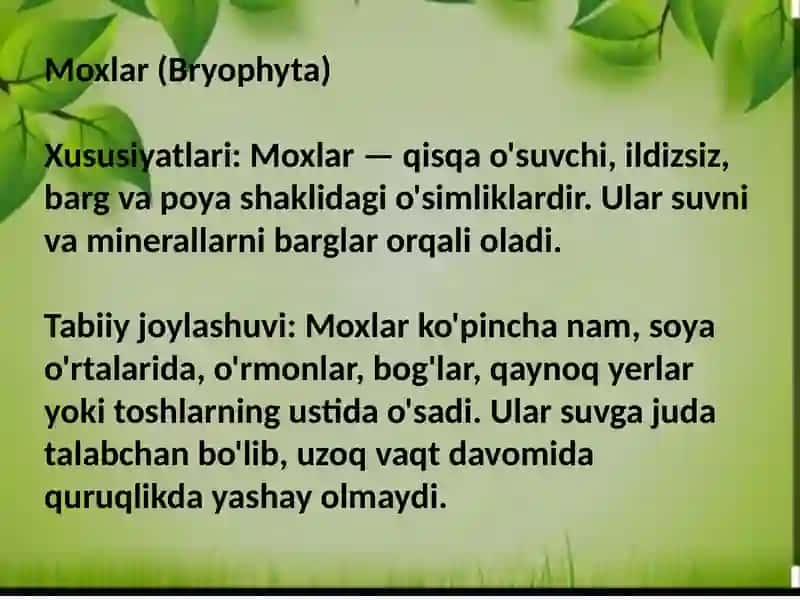 Òsimlik turkumlari va ularning tabiiy joylashishlari 4