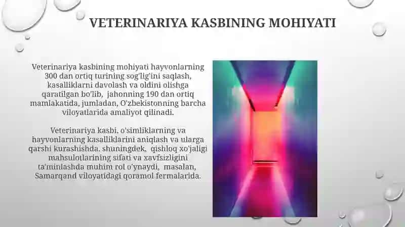Veterinariya Kasbida Zamonaviy Yondashuvlar 4