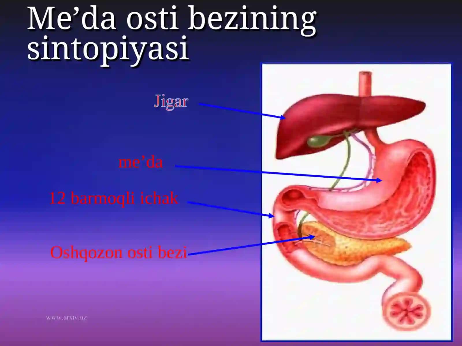 Meda osti bezi kista va oqmalari 4