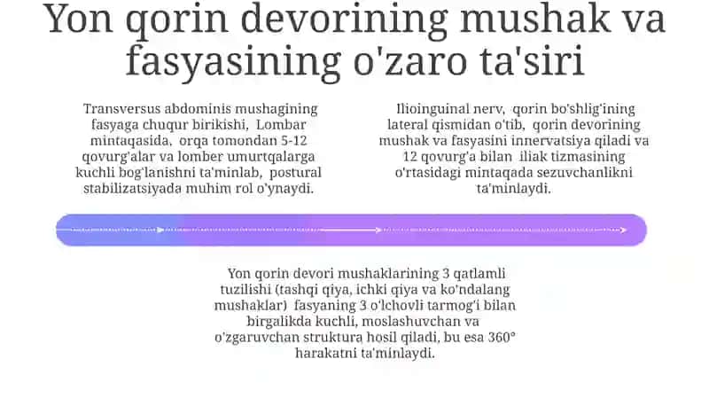 Ichki qiyal mushak 4