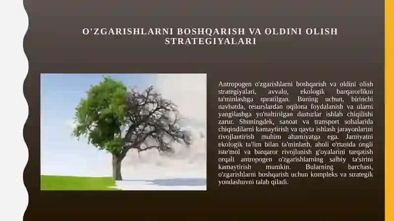 Antropogen o'zgarishlar ularni sinflanishi va fomalari 4
