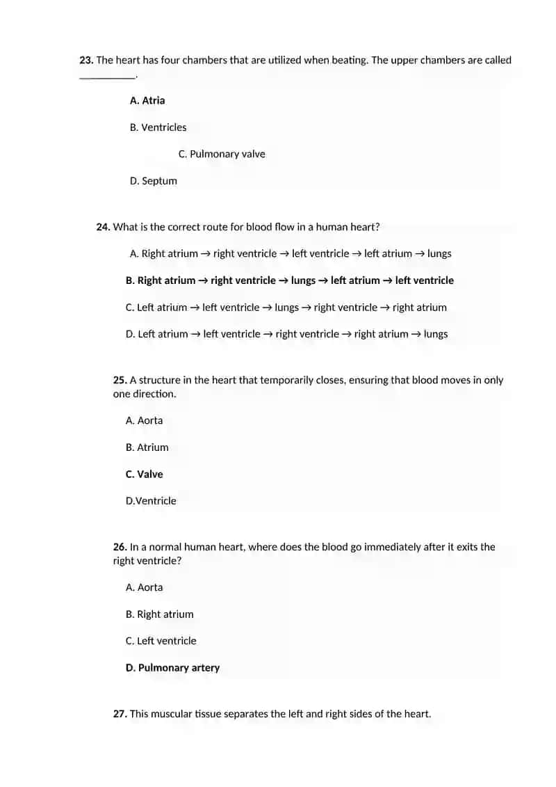 Tests for the present perfect tense 4