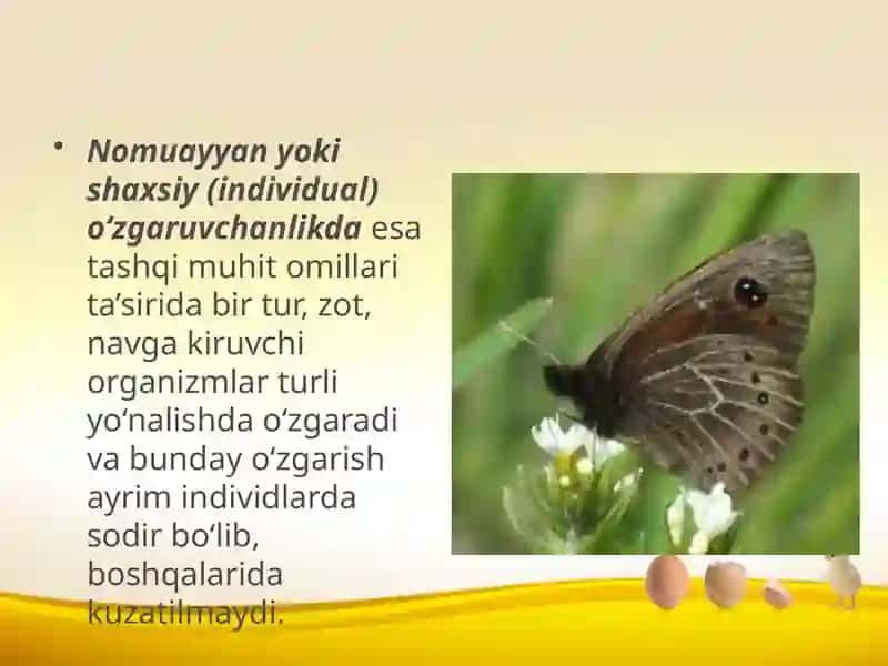 Evolutsiyani harakatlantiruvchi kuchlari. Irsiy o‘zgaruvchanlik 4