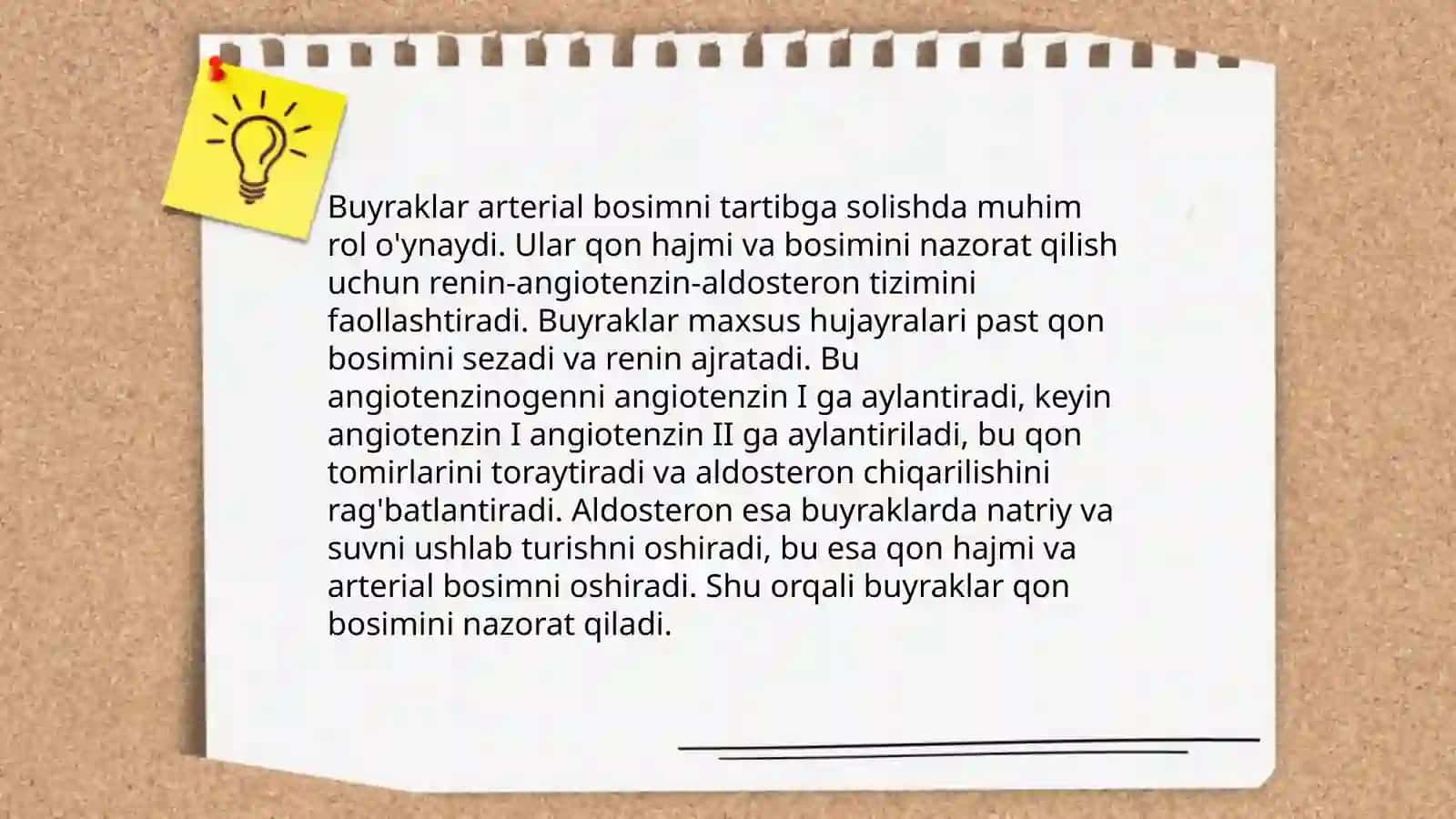 Buyraklarning asosiy funksiyalari 4