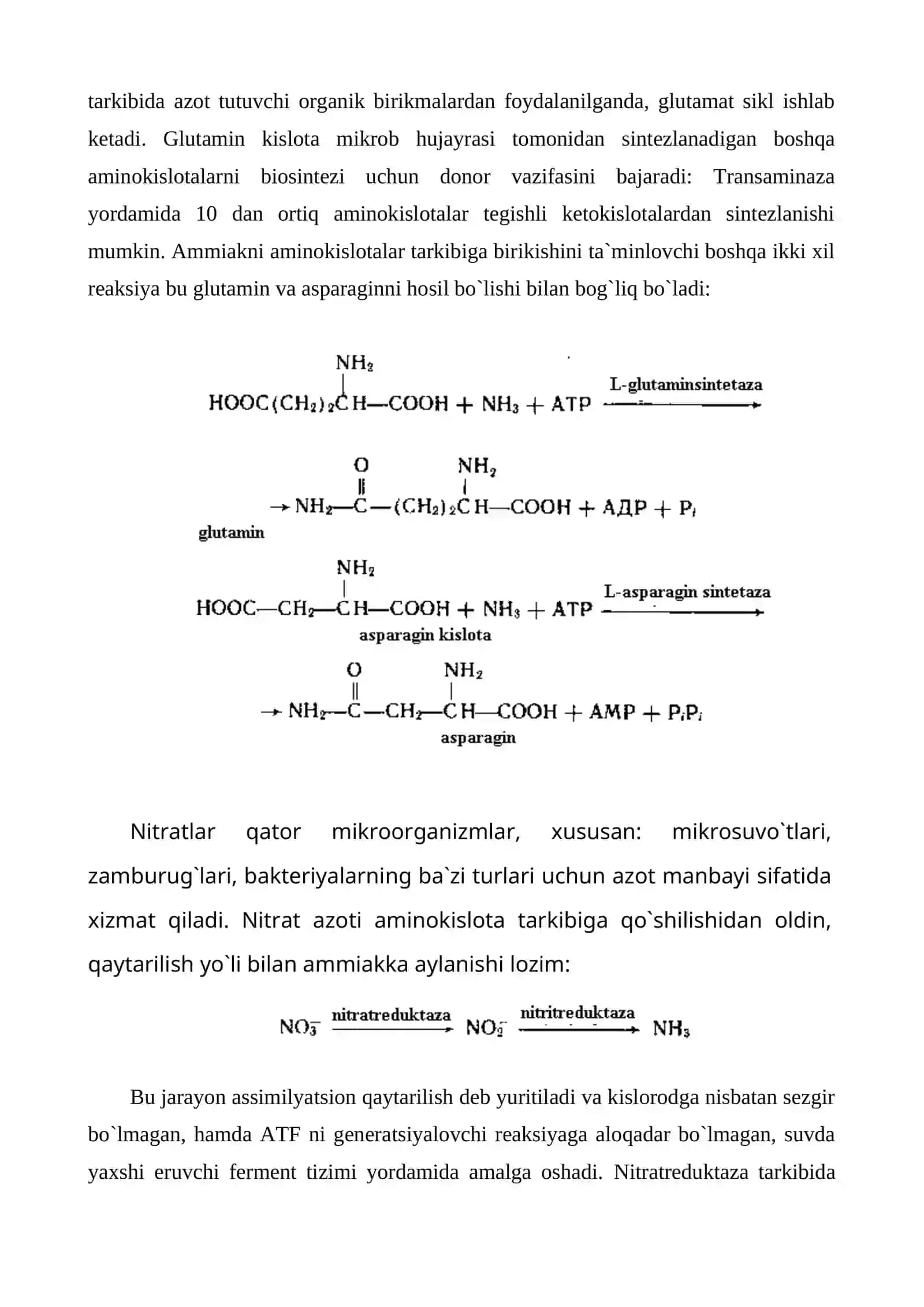 Aminokislotalar biosintezi texnologiyasi 4