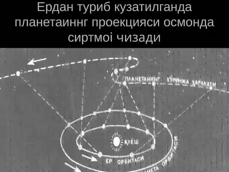 Осмонжисмларининг ҳаракати 4