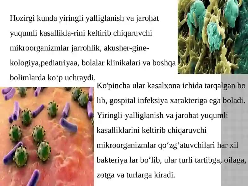 Shartli anaerob patogen kokklar 4