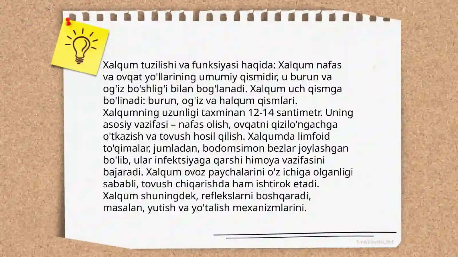 Ovqat hazm qilish tizimi 4