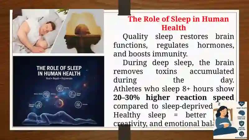 The Importance of Quality Sleep and Improving Sleep Habits 4