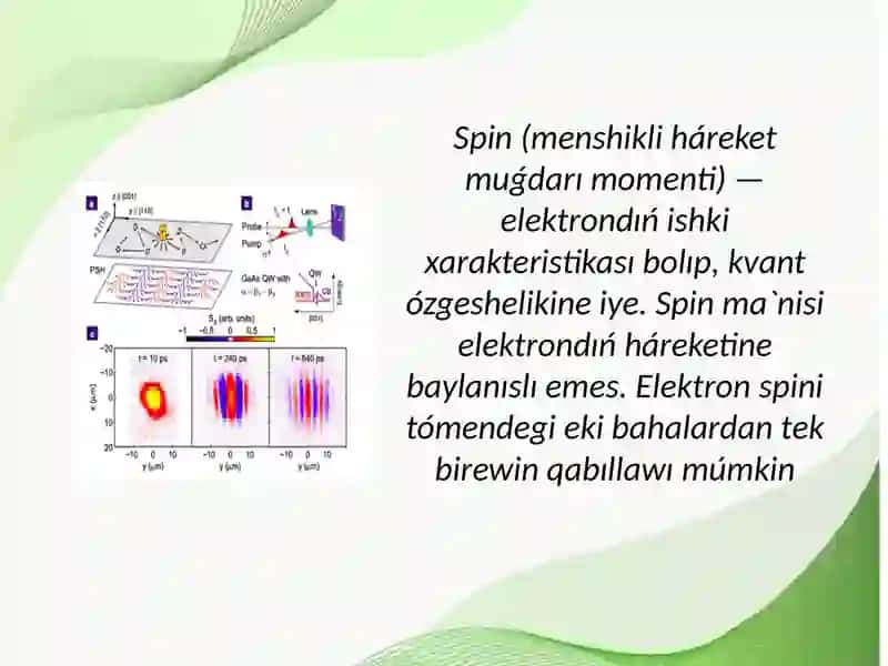 Spinli elektronika elementleri 4