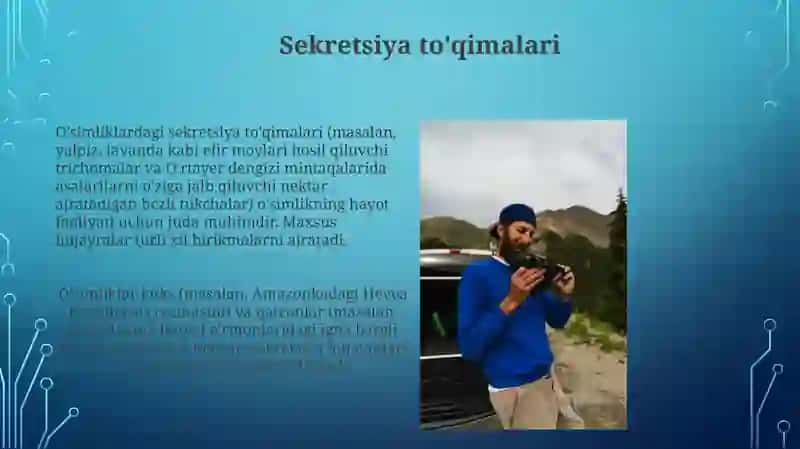 Òsimlik tòqimalari 4