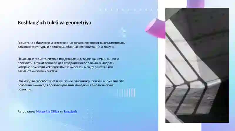 Biologiya va tabiiy fanlarda geometrik modellar 4