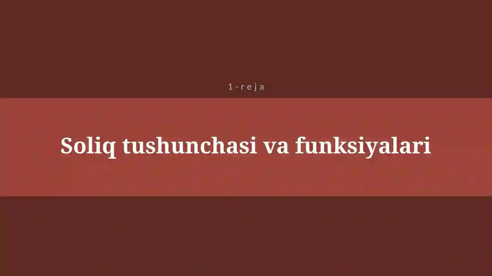 SOLIQ VA SOLIQQA TORTISH 4