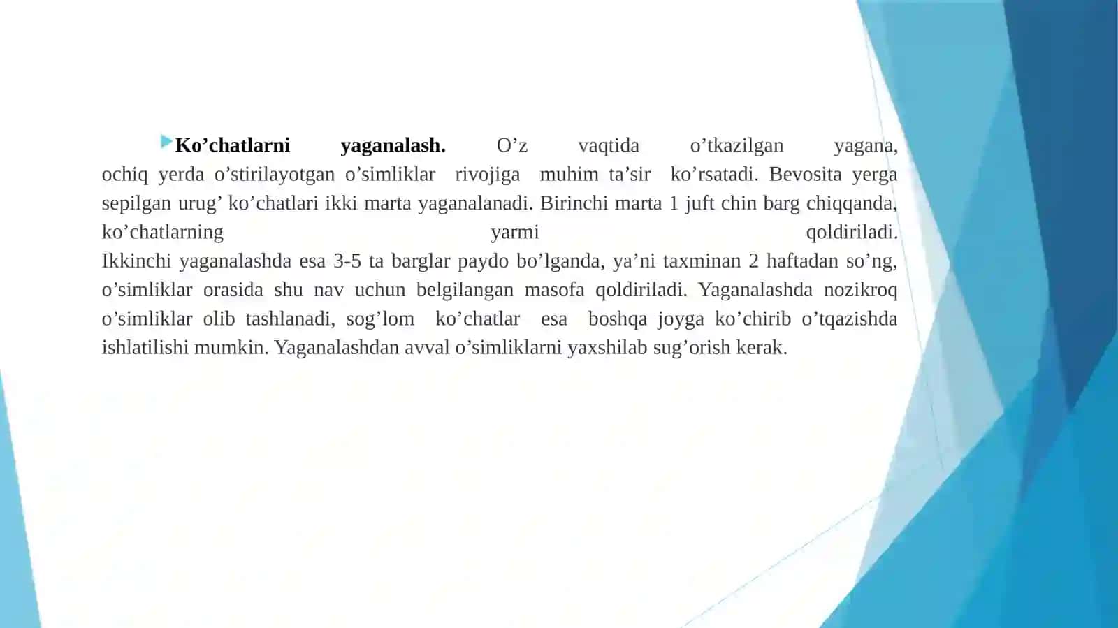 Ko‘chat yetishtirish agrotexnikasi 4