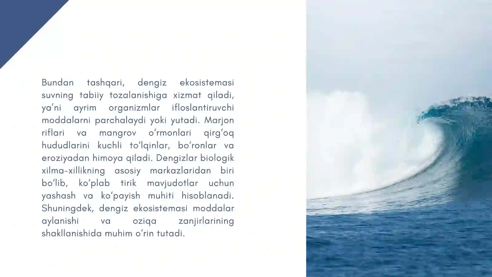 Dengiz Sistemasi 4