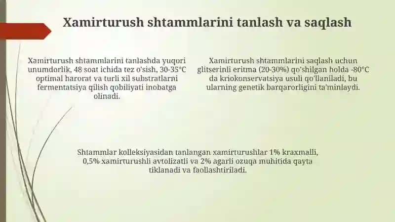 Xamirturush Biotexnologiyasi 4