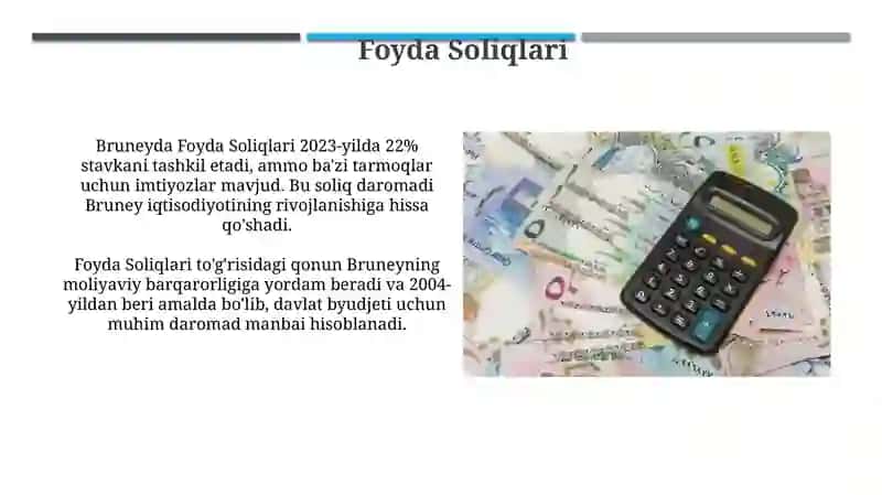 Bruneyning Soliq Tizimi 4