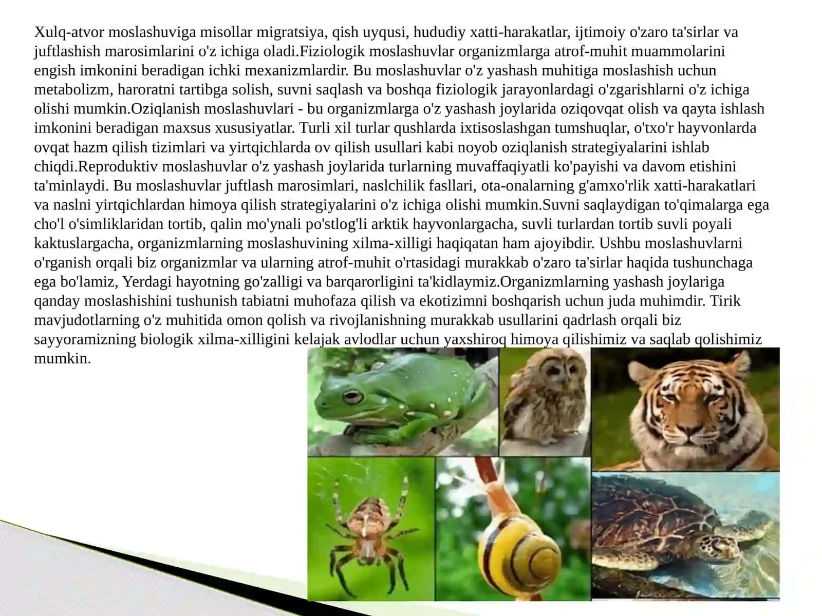 ORGANIZMLARNING MOSLANISHI VA YASHASH MUHITI 4