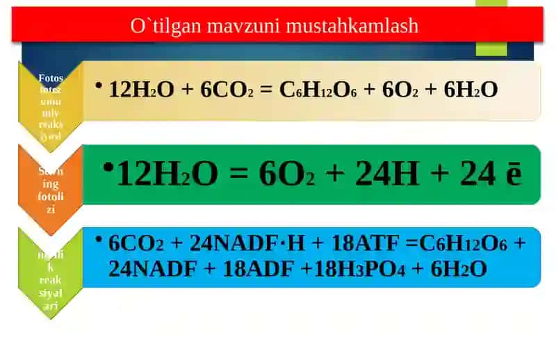 Biologiya 34-dars 4