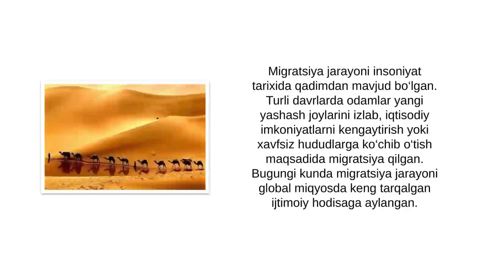 Aholi migratsiyasi va ijtimoiy muammolar 4