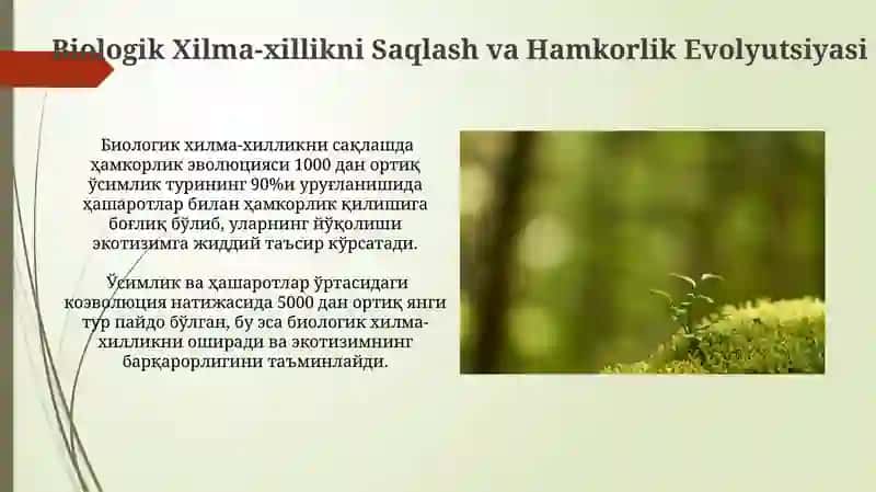 Muhitshunoslik va Hamkorlik Evolyutsiyasi 4