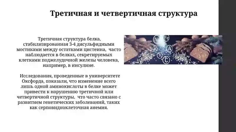 Физико-химические свойство белков 4