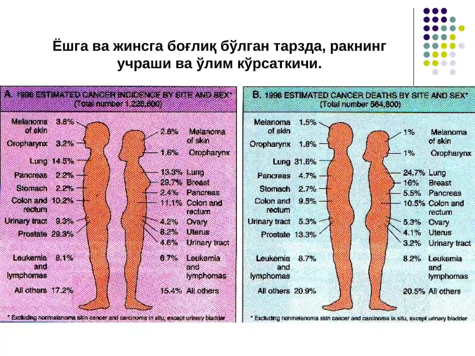 ЎСМАЛАР O'smalar 4