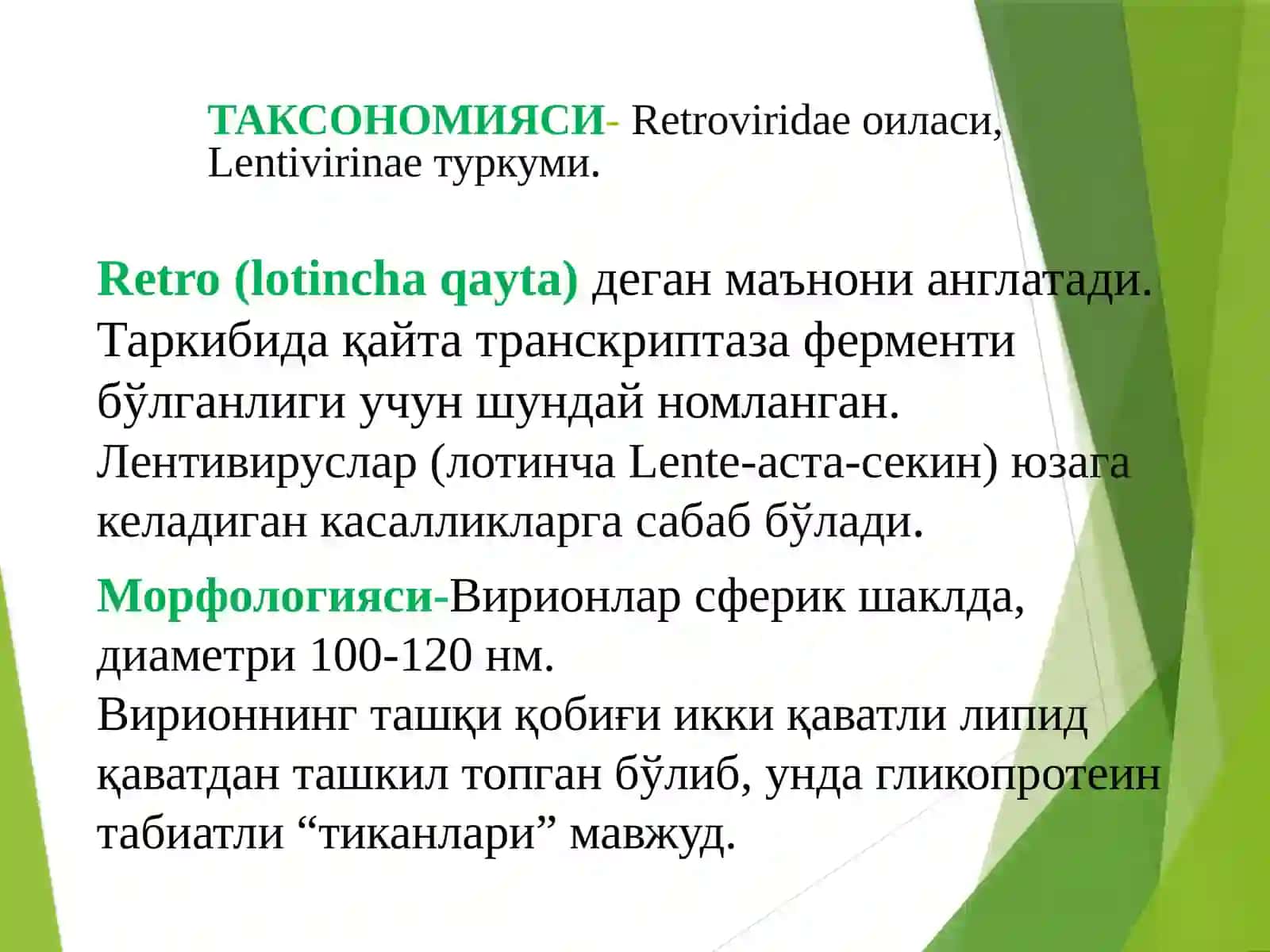 ОИВ/ОИТС: Таксономия, Морфология 4