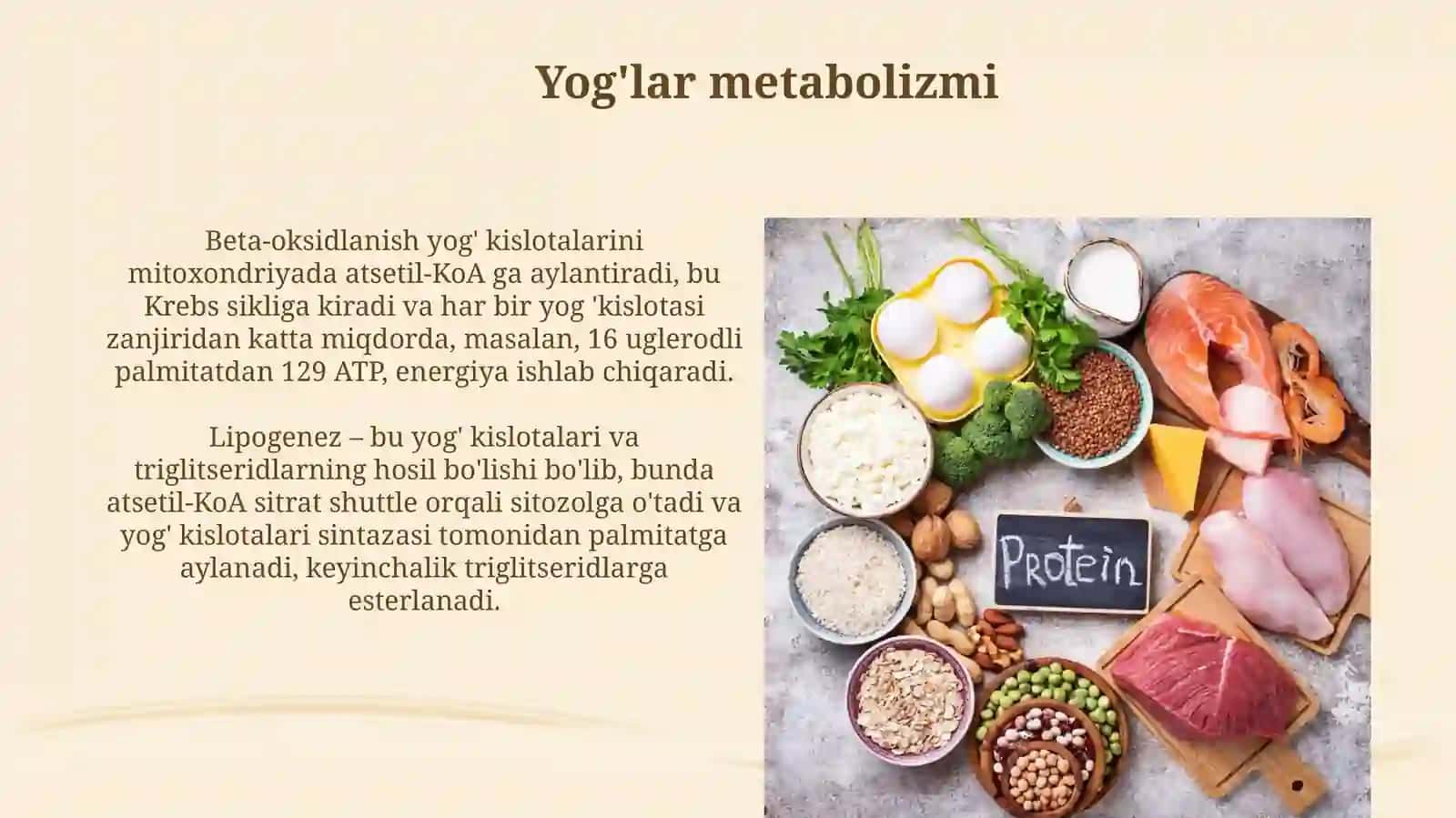 Moddalar almashinuvi uglevod yog va oqsil metabalizimi 4