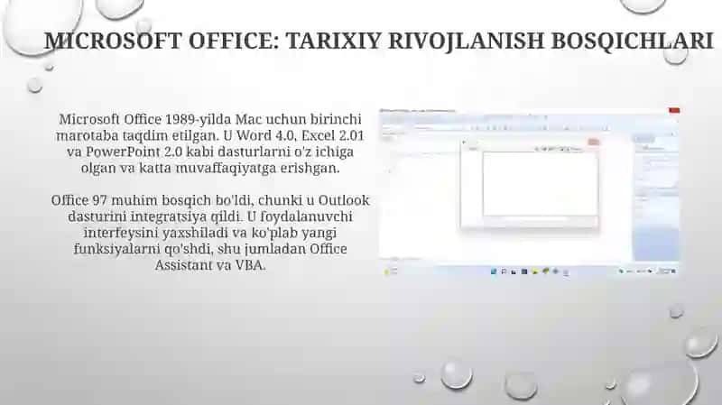 Dasturiy ta'minot (Microsoft Office misolida) 4
