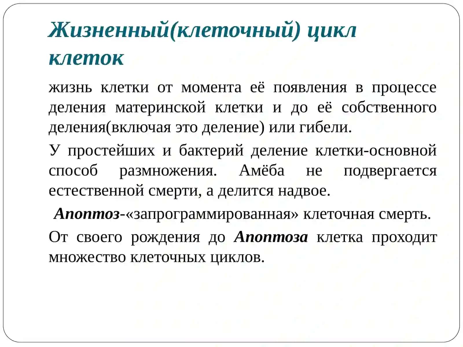 Митоз и мейоз 4