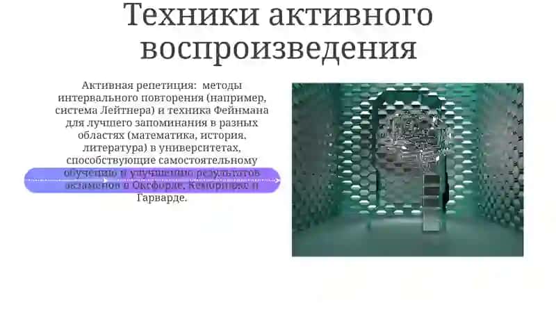 Методика воспитания и развития памяти в студенческие годы. Демокротизация и самоуправление в вузе 4