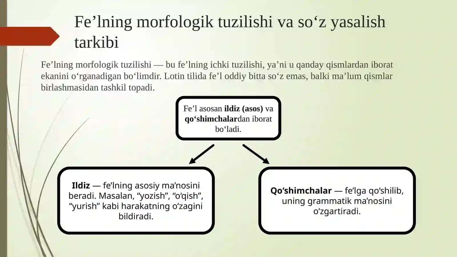 Lotintilida fe’l so‘zturkum 4