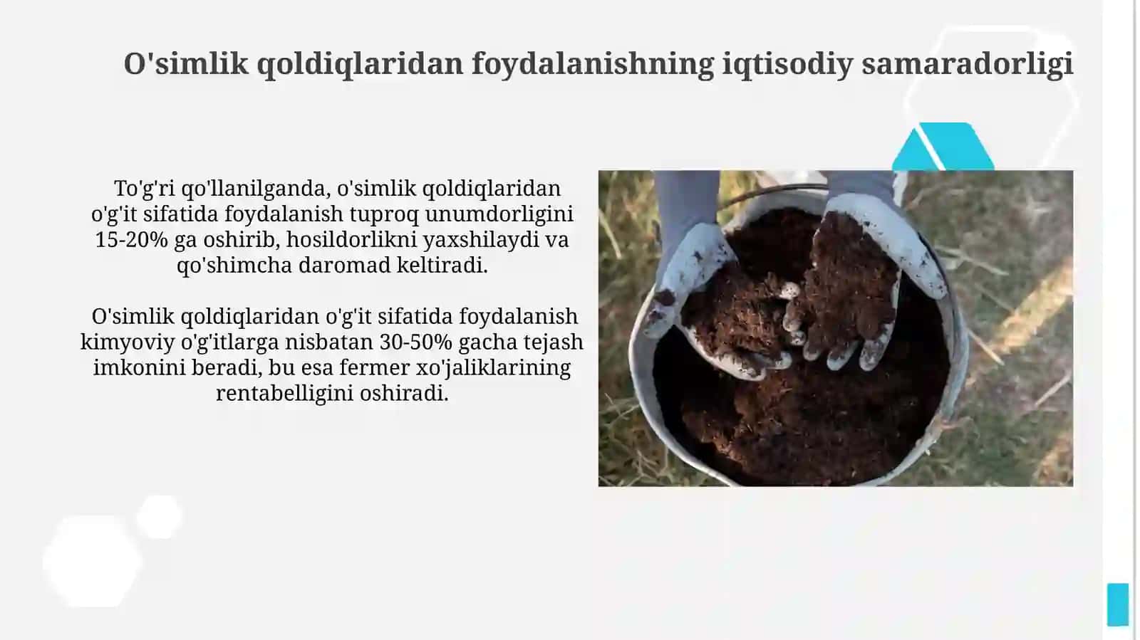 O'simlik qoldiqlarini o'g'it o'rnida ishlatish 4
