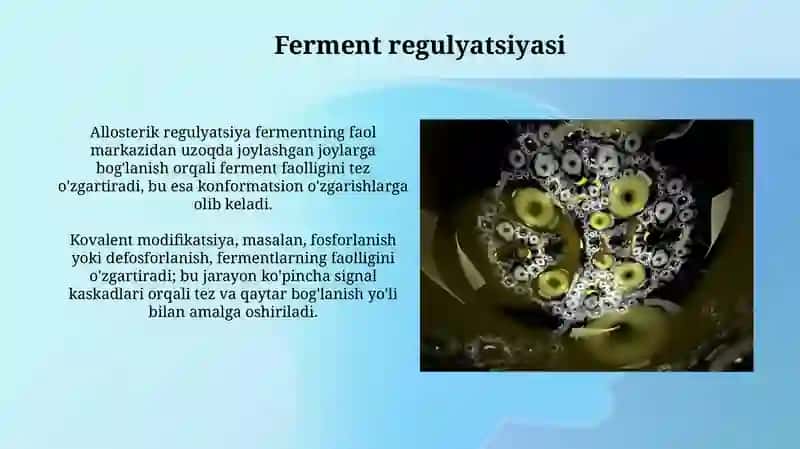 Moddalar almashinuvida ishtirok etadigan fermentlar 4