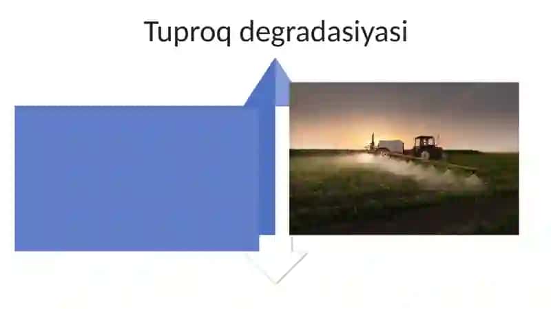 Pestitsidlarining ekologik ahamiyati 4