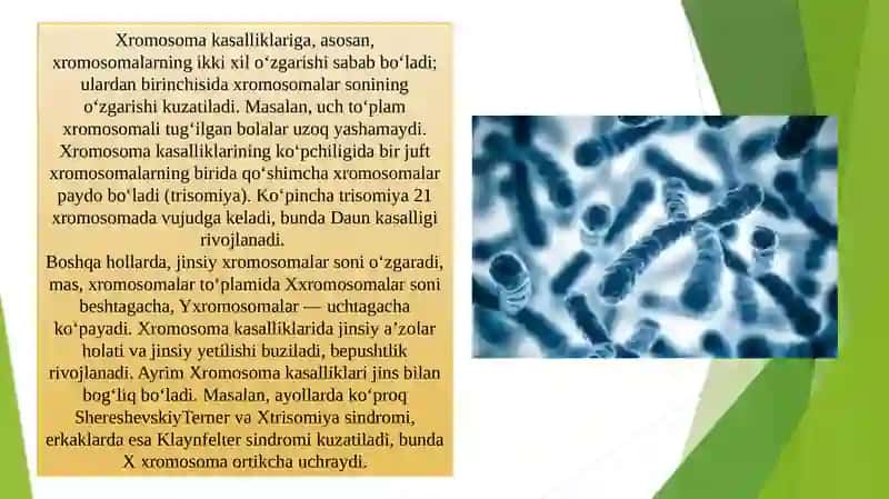 Xromosoma kasalliklari 4