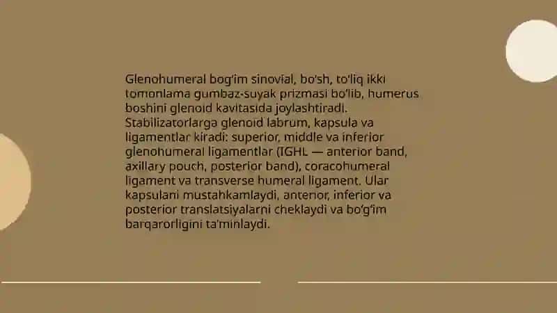 Yelka kamar bogim va boylamlari 4