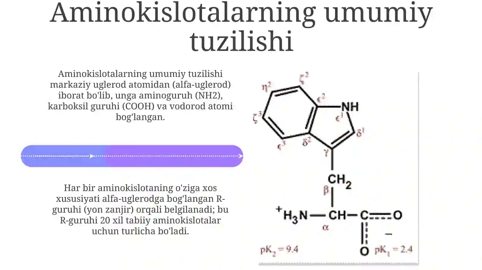 Aminokislotalarning tuzilishi va xossalari 4