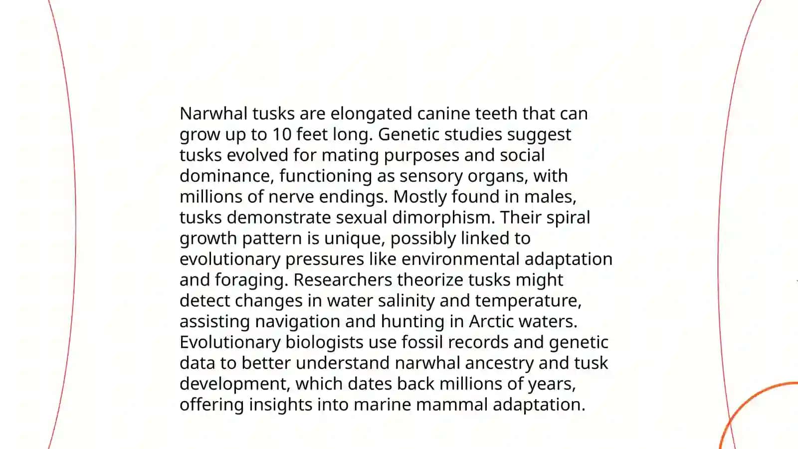 Narwhal Tusk 4