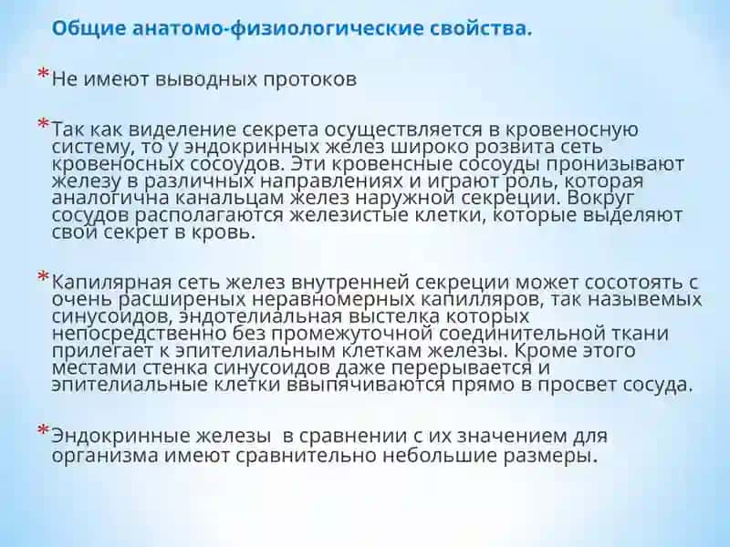 Эндокринные железы 4